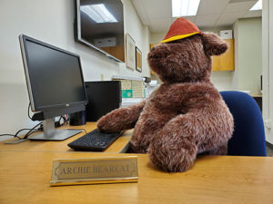 stuffed bearcat sitting at desk