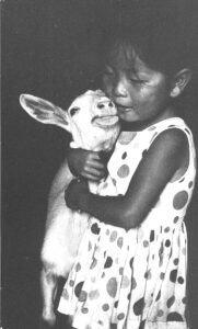 child and goat